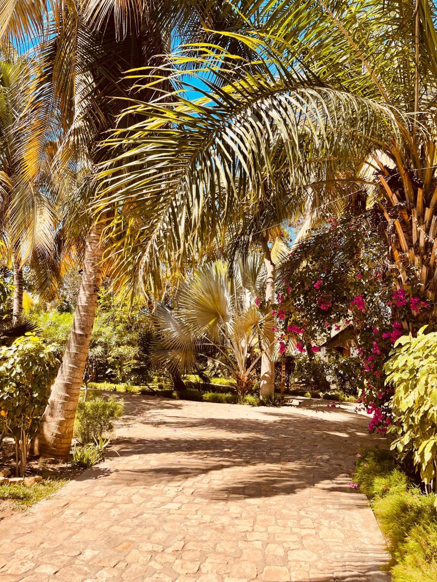 Chez Alain Hotel Toliara Værelse billede